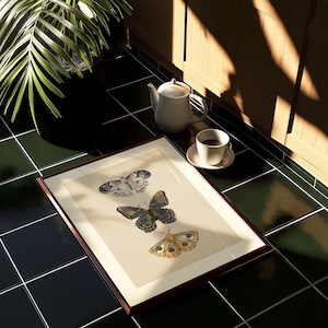 Moth Wall Art Vintage Butterfly Decor Nature Print Eclectic Gallery Wall Art Cottage Core Art Digital Download Antique Wall Art Luna Moth