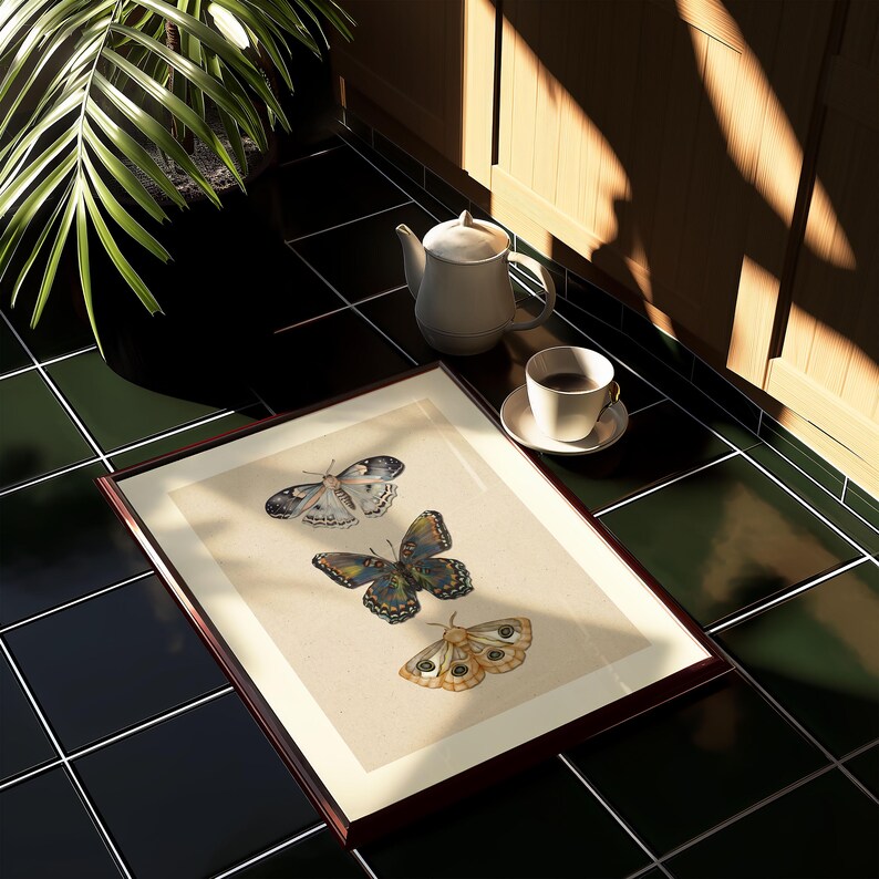 Moth Wall Art Vintage Butterfly Decor Nature Print Eclectic Gallery Wall Art Cottage Core Art Digital Download Antique Wall Art Luna Moth