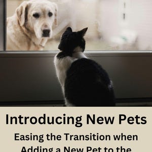 Introducing New Pets: Easing the Transition when Adding a New Pet to the Household
