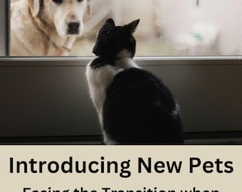 Introducing New Pets: Easing the Transition when Adding a New Pet to the Household