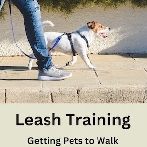 May include: A person in blue jeans walks a white and brown dog on a blue leash. The dog is wearing a black harness. The text on the image reads "Leash Training Getting Pets to Walk Calmly On a Leash Steve McChesney".