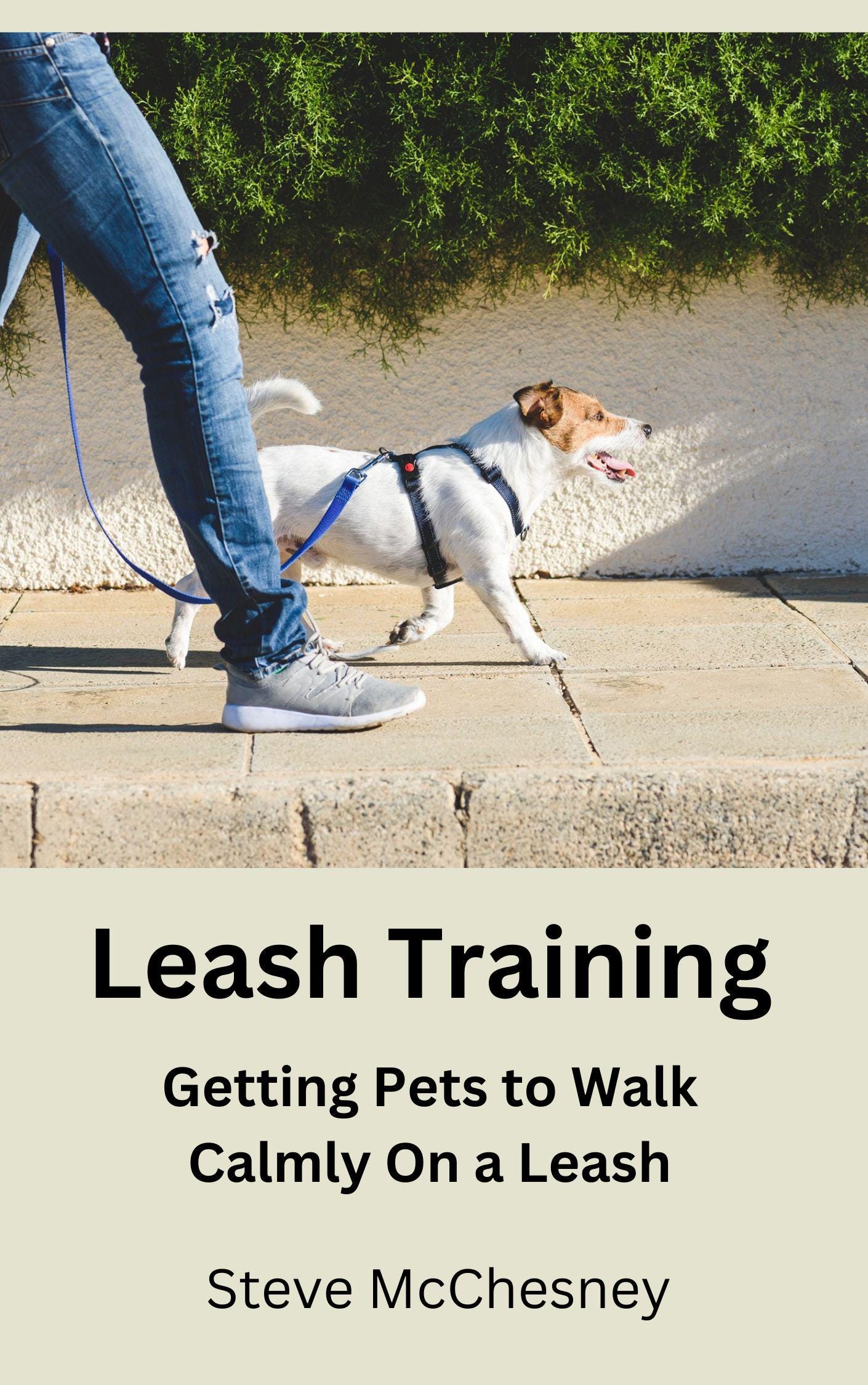 Leash Training: Getting Pets to Walk Calmly on a Leash - Etsy