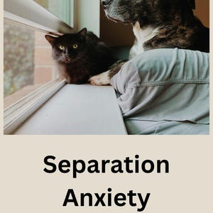 May include: A black cat and a brown and white dog look out a window. The text on the image reads "Separation Anxiety Helping Pets Cope with Being Alone Steve McChesney".