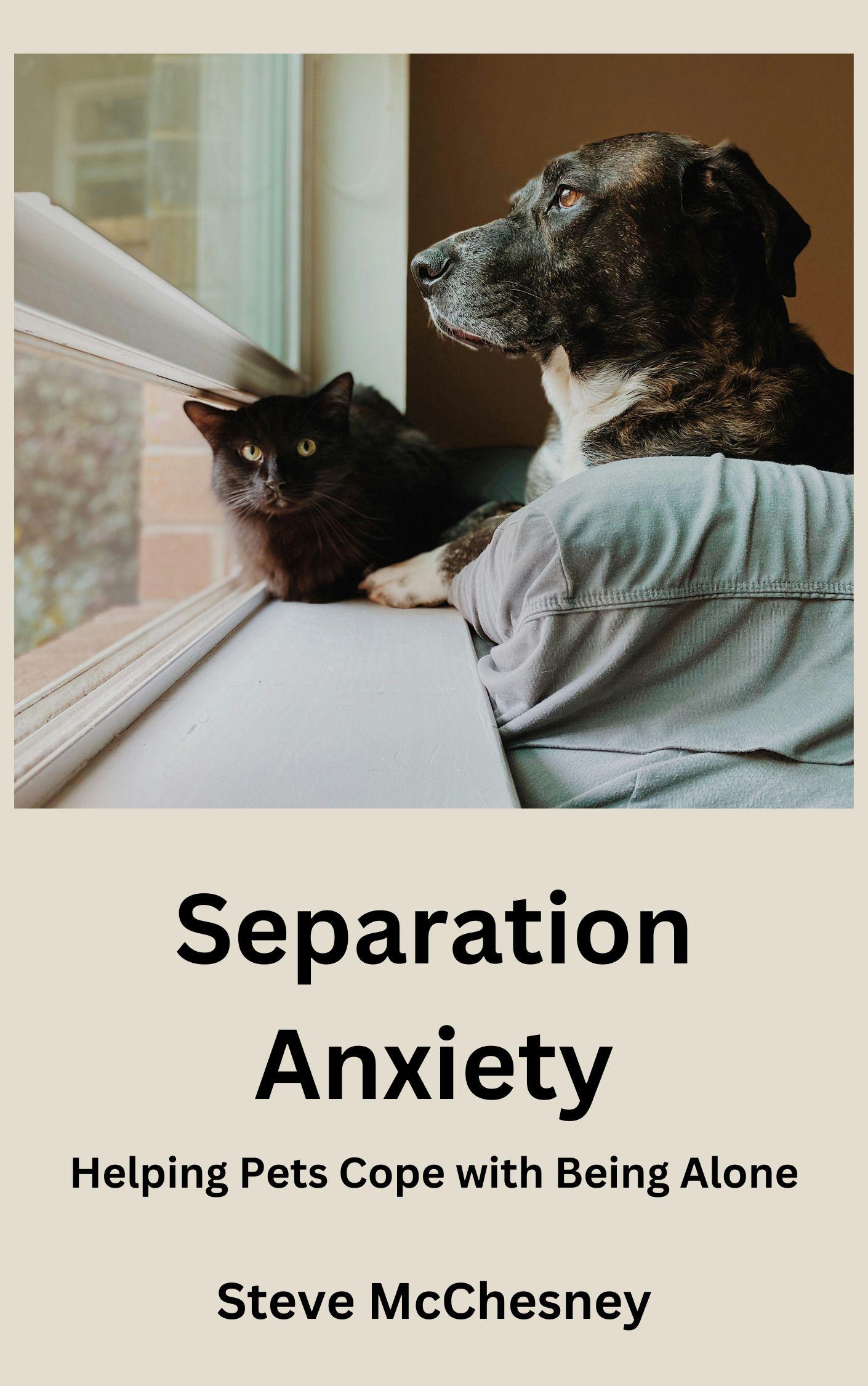 Coping With Hamster Separation Anxiety