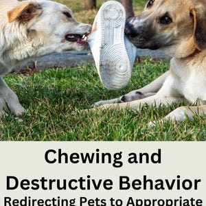May include: Two dogs are playing tug-of-war with a white shoe. The dogs are in a grassy area. The text on the image reads "Chewing and Destructive Behaviour Redirecting Pets to Appropriate Activities Steve McChesney".