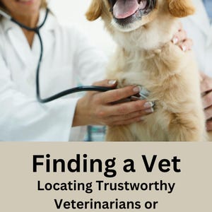 Könnte beinhalten: Ein Tierarzt untersucht einen Golden-Retriever-Welpen mit einem Stethoskop. Der Text auf dem Bild lautet "Finding a Vet Locating Trustworthy Veterinarians or Specialists Steve McChesney".