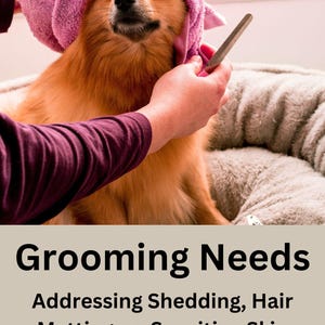 Grooming Needs: Addressing Shedding, Hair Matting, or Sensitive Skin