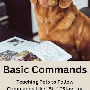 Op de afbeelding: Een bruine hond met een bril zit op een tafel met een open boek ervoor. De titel van het boek is "Basic Commands: Teaching Pets to Follow Commands Like "Sit," "Stay," or "Come." by Steve McChesney.
