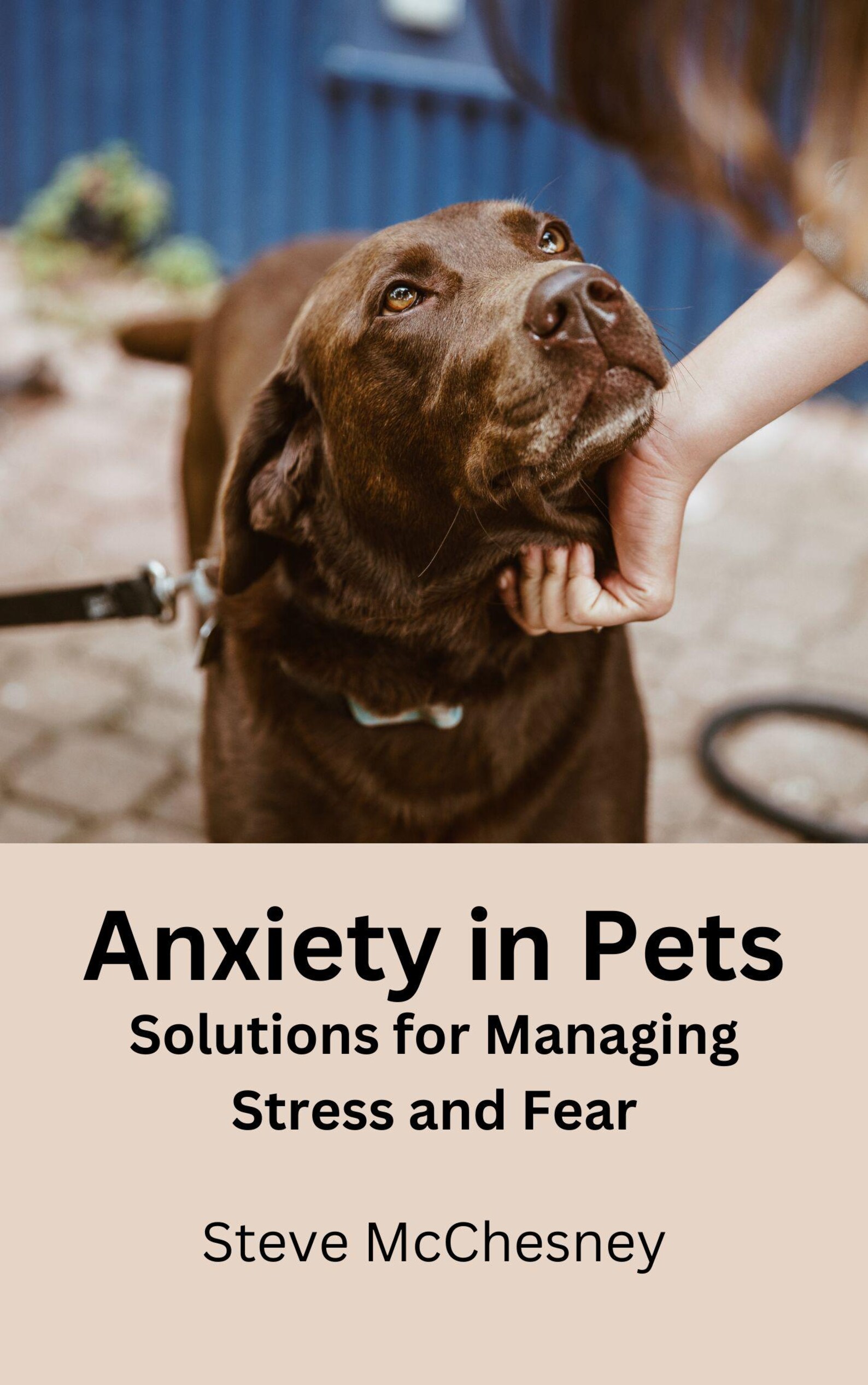 Anxiety in Pets: Solutions for Managing Stress and Fear - Etsy