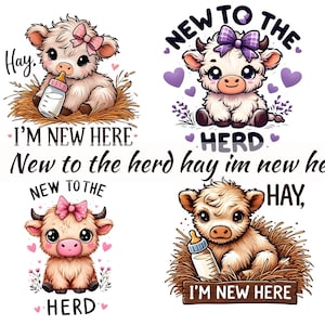 Nouveau dans le troupeau png Clipart bébé vache Highland, foin Je suis nouveau ici usage commercial bébé vache, nouveau-né