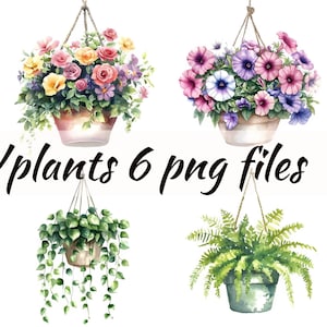 May include: Six watercolor illustrations of hanging plants in pots. The plants include pink and white flowers, purple and white flowers, pink and red flowers, green leafy plants, a trailing plant with green leaves, and a fern.