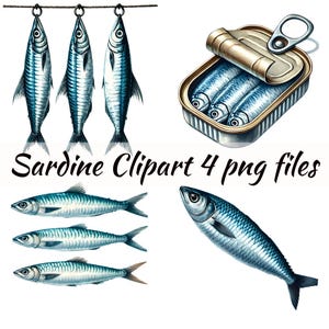 Sardine Clipart Png Sardine realistiche Uso commerciale