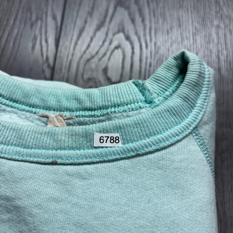 Vintage Mickey Mouse Niagara Falls Canada Sweatshirt Raglan Small 22x23 image 8