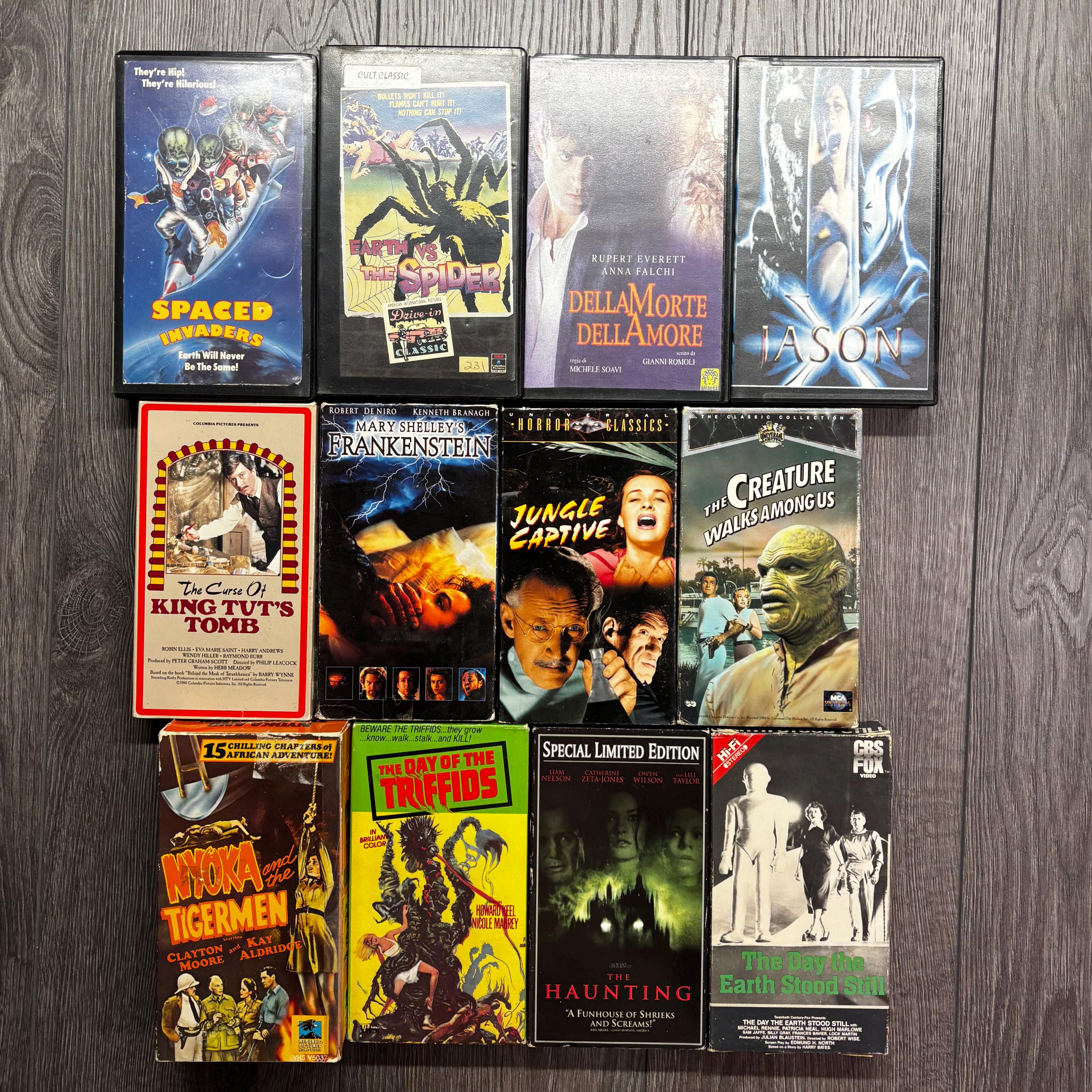 Horror Thriller Vhs Spaced Spiders Jason X King Tut Haunting