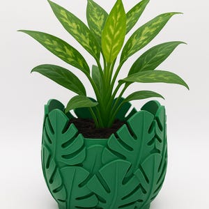 May include: A green plant in a green planter. The planter has a leaf design. The plant has green leaves with yellow and light green variegation. The planter is filled with dark soil. The background is white.
