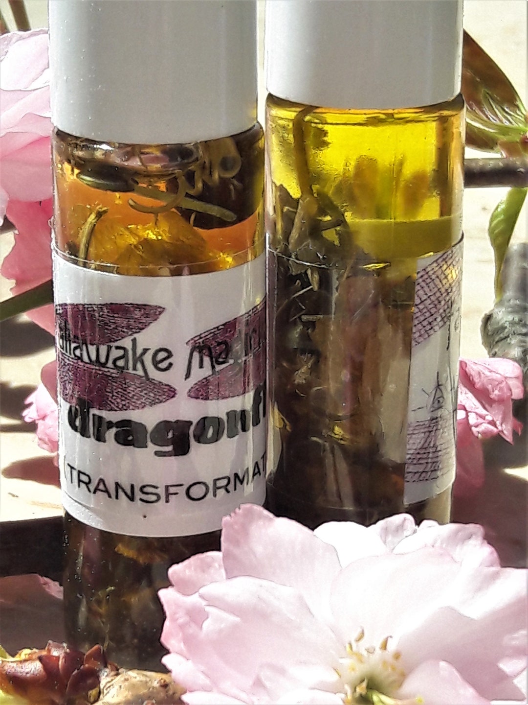 Dragonfly Magickal Ritual Oil for Transformation and Positive Change - Etsy