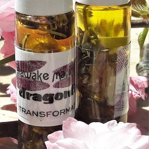 Dragonfly Magickal Ritual Oil for Transformation and Positive Change