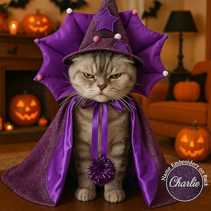 Può includere: Un gatto grigio con un costume da strega viola di Halloween, che include un cappello con dettagli a stella e un mantello. Il gatto è seduto davanti a zucche intagliate e un camino. Il nome del gatto, "Charlie", è ricamato sul retro del mantello.