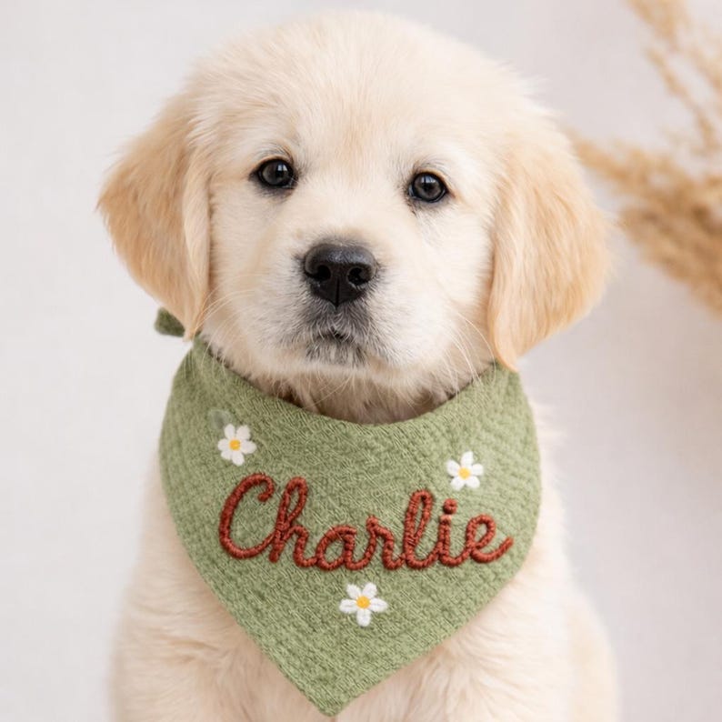 Pu&ograve; includere: Un cucciolo di golden retriever con un bandana verde con il nome "Charlie" ricamato in marrone. La bandana &egrave; decorata con piccole margherite bianche. Il cucciolo ha un mantello chiaro e occhi scuri.