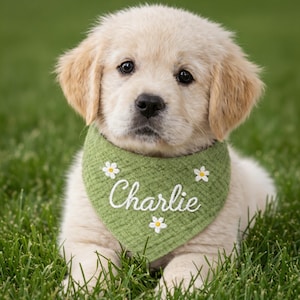 Pu&ograve; includere: Un cucciolo di golden retriever con un bandana verde con accenti di margherite bianche e il nome "Charlie" ricamato in bianco. Il cucciolo &egrave; sdraiato sull'erba verde, guardando direttamente la fotocamera.