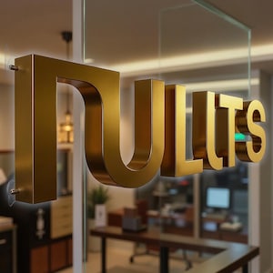 Custom 3D LED Metal Letters: Personalized Business Sign