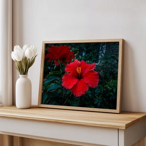 Red Hibiscus Flower Close-Up, Digital Nature Photography, Digital Floral Wall Art for Home & Office Decor