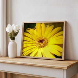 Bright Yellow Daisy Close-Up, Digital Flower Print, Nature Photography Wall Art for Home & Office Decor
