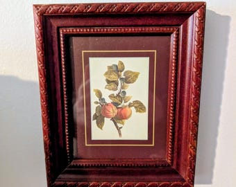 Dark Wood Picture Frame with Botanical Apple Print