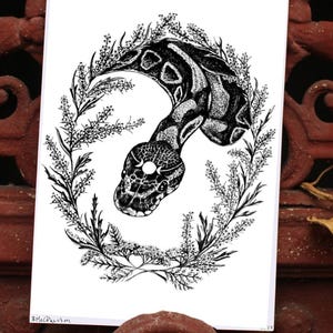 Snake Art Print - Ball Python Queen