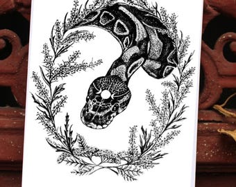 Snake Art Print - Ball Python Queen