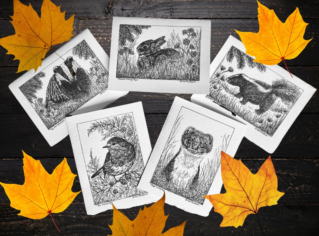 Woodland Notecard Set Woodland Cards Woodland Notecards - Etsy