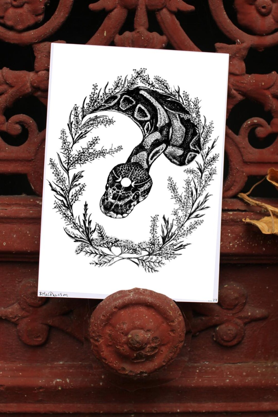 Transformation - Ball Python Art Print - Etsy