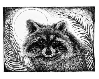 Raccoon Art Print - Midnight Visitor
