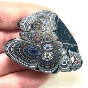 以下が含まれることがあります： 黒、白、グレー、赤、青の色合いで、同心円のユニークなパターンを持つ研磨された石。 石は滑らかで光沢のある表面を持ち、自然で有機的な形に似た不規則な形をしています。 石は手で持たれています。