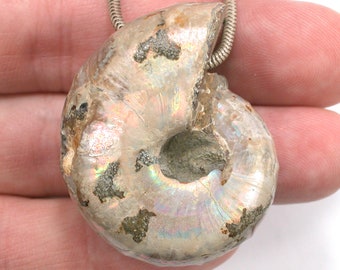 DVH Fossil Iridescent Ammonite Ammolite Focal Bead 44x33x20 (4417)