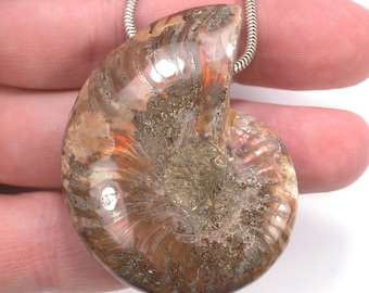 DVH Fossil Iridescent Ammonite Ammolite Focal Bead 55x44x15 (4420)