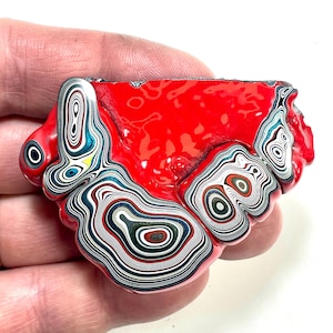 以下が含まれることがあります： 鮮やかな赤色の表面を持つ抽象的なアート作品。白、黒、青、緑など、さまざまな色の同心円の複雑なパターンが特徴です。形状は有機的で不規則です。オブジェクトは手で持たれていますが、焦点はアート作品にあります。