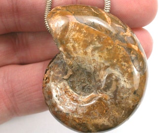 DVH Fossil Iridescent Ammonite Ammolite Focal Bead 45x37x19 (4419)