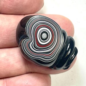 以下が含まれることがあります： 黒、白、赤、グレーの同心円模様が印象的な磨かれた石。 石は滑らかで光沢のある表面を持ち、ユニークな有機的な形状をしており、手で持たれています。