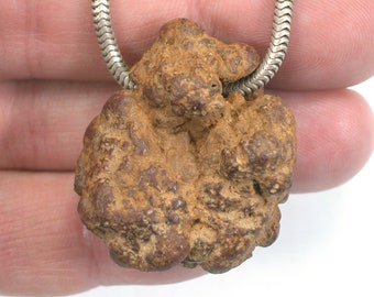 DVH Coprolite Pseudo Fossil Bead Petrified Poop 34x29x14 (5266)