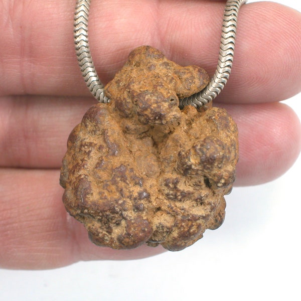 DVH Coprolite Pseudo Fossil Bead Petrified Poop 34x29x14 (5266)