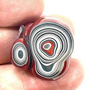 以下が含まれることがあります： 赤と白の濃淡で、同心円状の模様が施された磨かれた瑪瑙石。石は独特の有機的な形状をしており、光沢のある仕上がりです。色の層には赤、白、黒、グレーが含まれており、印象的な視覚効果を生み出しています。石は手で持たれています。