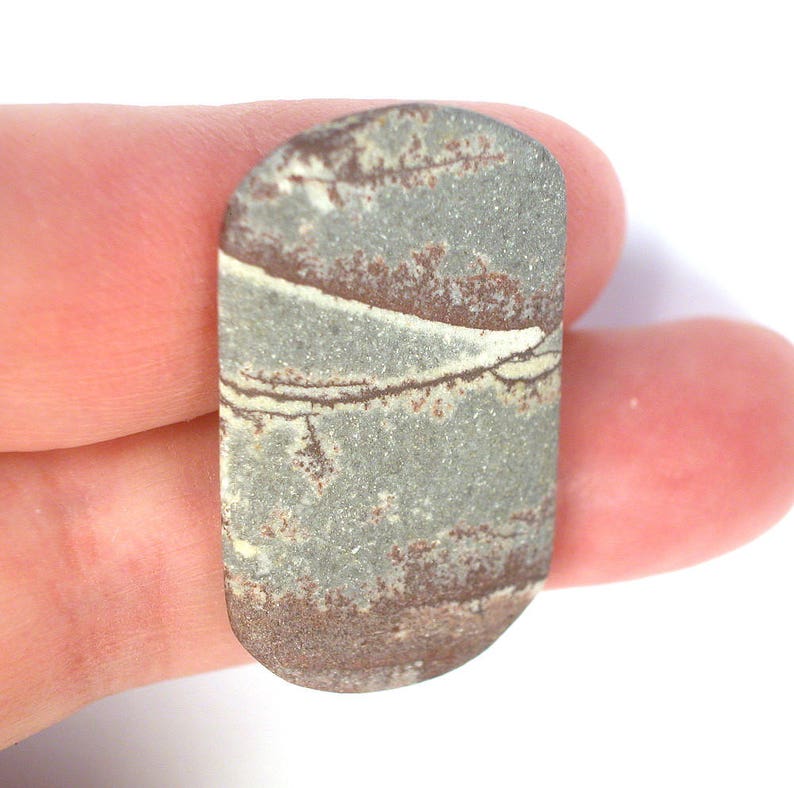 8684 DVH Sonora Dendritic Jasper Rhyolite Cabochon 33x20x3
