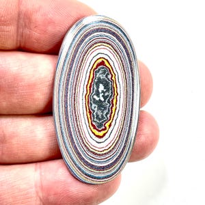 Ensemble DVH Ford Focus C-MAX Fordite Cabocohon Michigan 50 x 26 x 3 mm (5 950)