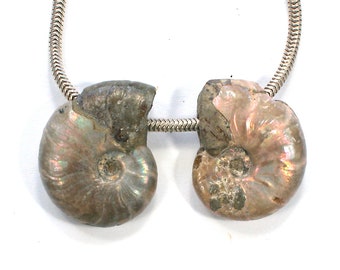 DVH Fossil Iridescent Ammonite Matched Pair Focal Beads 23x18x7 (3775)