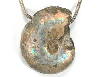 DVH Fossil Iridescent Ammonite Ammolite Focal Bead 31x26x11 (3952)