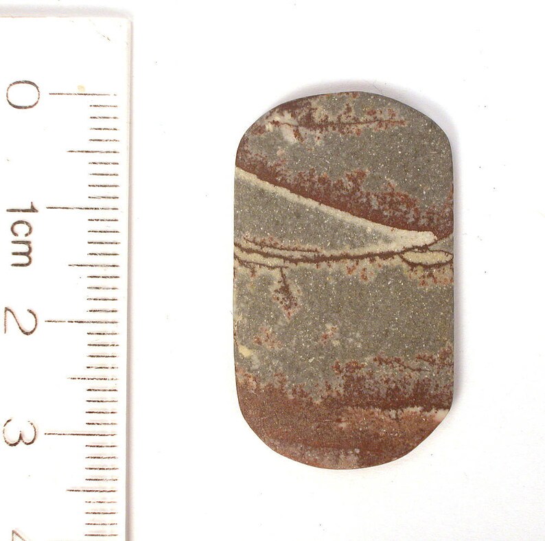 8684 DVH Sonora Dendritic Jasper Rhyolite Cabochon 33x20x3