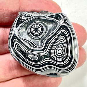 DVH Genuine Michigan Fordite Specimen Polished Face Rough MOPAR (6005)