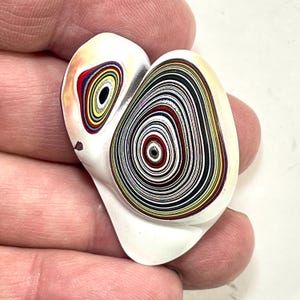 DVH フォーダイト標本研磨面ミシガン Chv Frd Jp (6429)