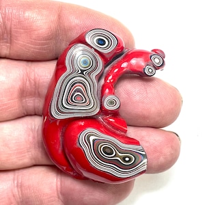 DVH フォーダイト標本レッドポリッシュフェイスミシガン Chv Frd Jp (6479)